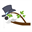SirBranch