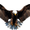 Eagle22