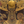Moloch