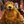 bigbear