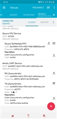 both services