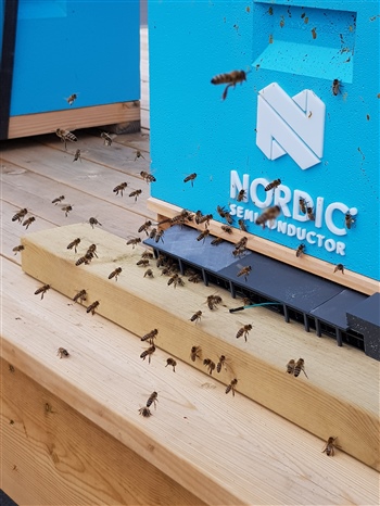  An image of the front of a blue beehive. At the bottom of the hive there is a contraption of black plastic covering most of the hive's width, where some bees can be seen entering the hive. There are a group of bees flying in front of the hive.