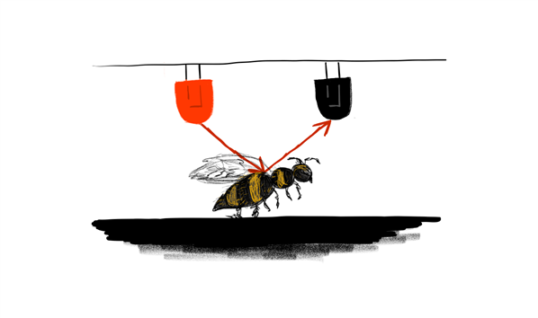  A drawing of two diodes placed horizontally adjacent in a ceiling - one red and one black - and a bee standing on a black floor. From the red diode there is an arrow which points to the bee. From the bee there is an arrow pointing to the black diode. 