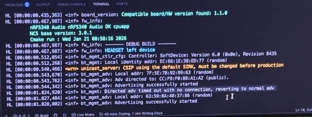 Logs after connecting the Audio DK